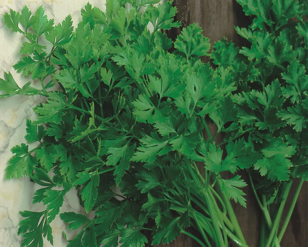 Aachi петрушка parsley 20 г