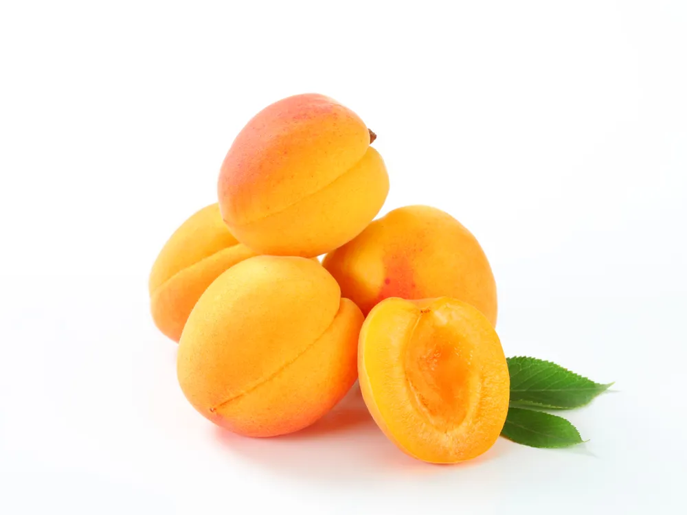 Apricot — абрикос