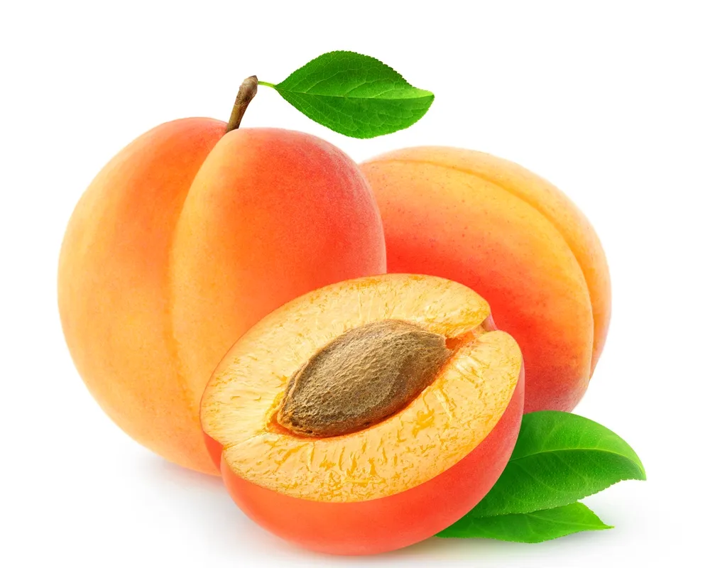 Apricot — абрикос