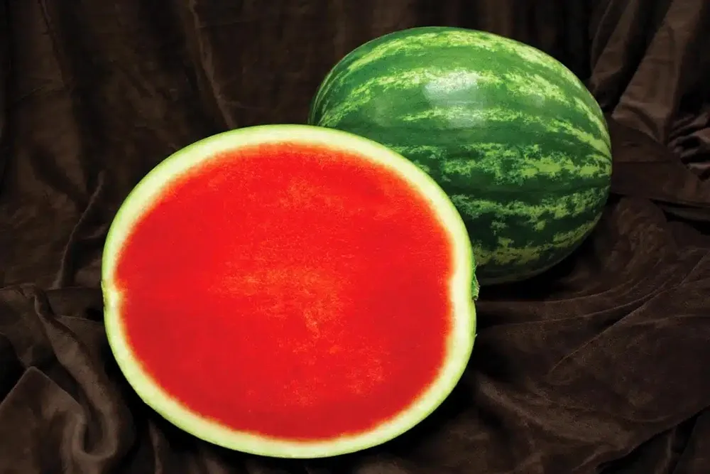 Арбуз сорт seedless Watermelon