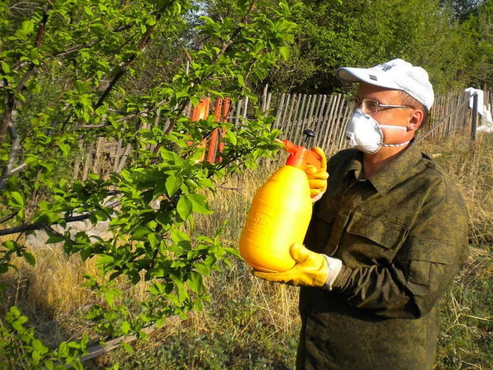 Борьба с вредителями