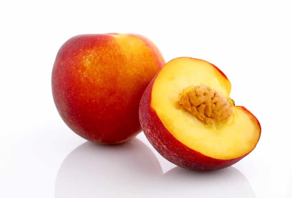 Fumari Nectarine