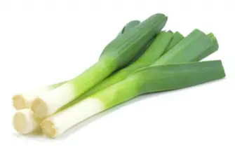 Лук-порей Leek.