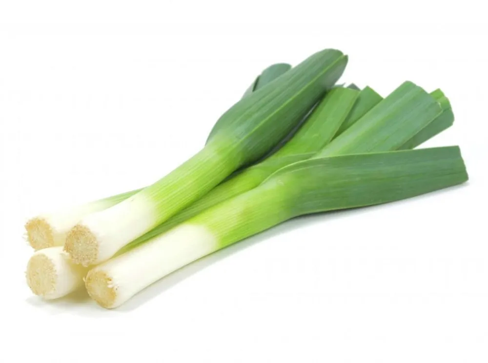 Лук-порей Leek.