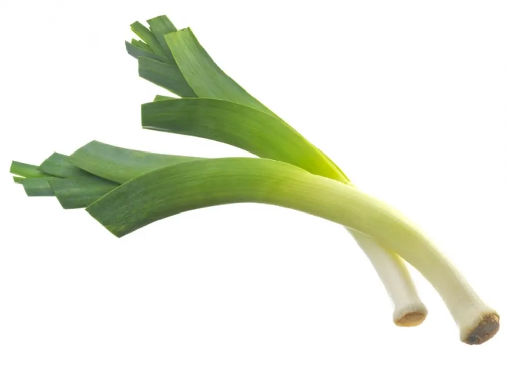 Лук-порей Leek.