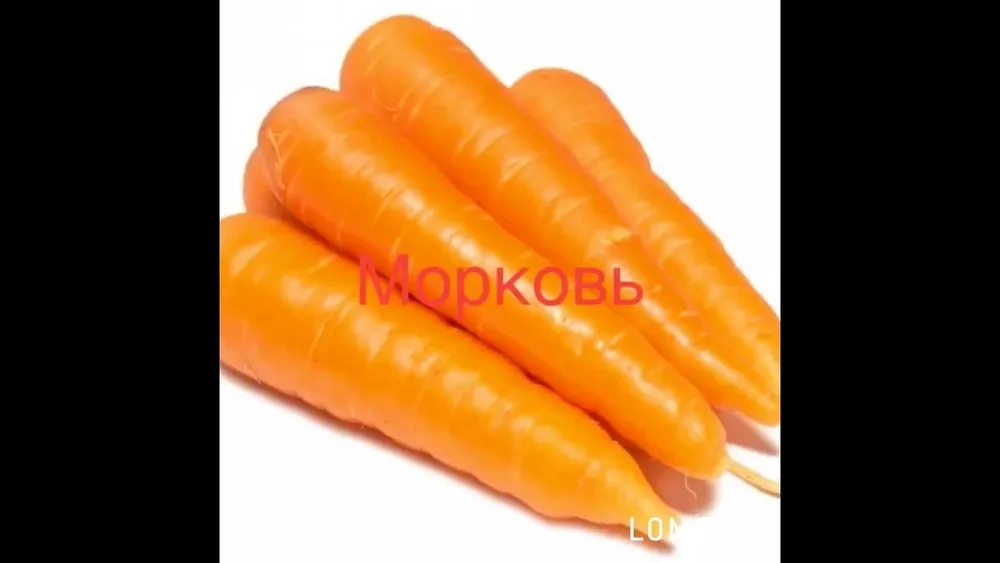 Морковь