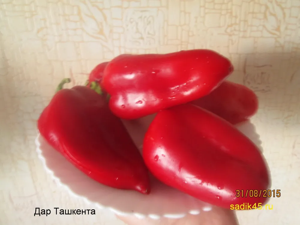Перец Ташкент