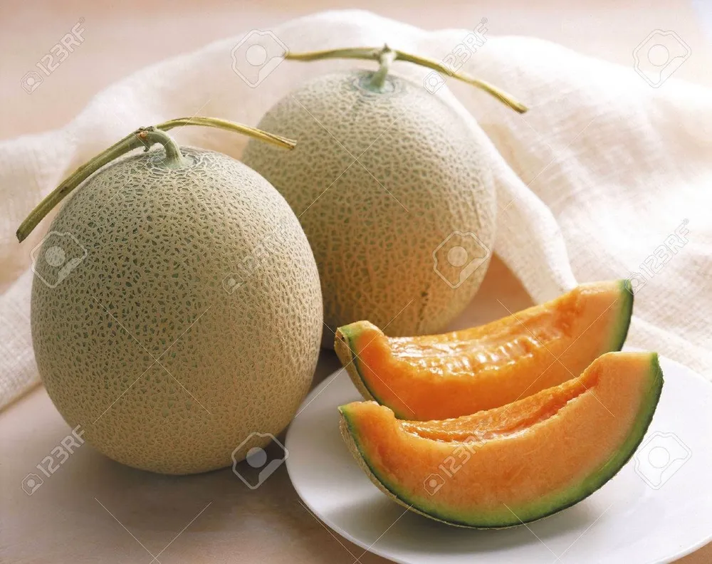 Yubari King Melon